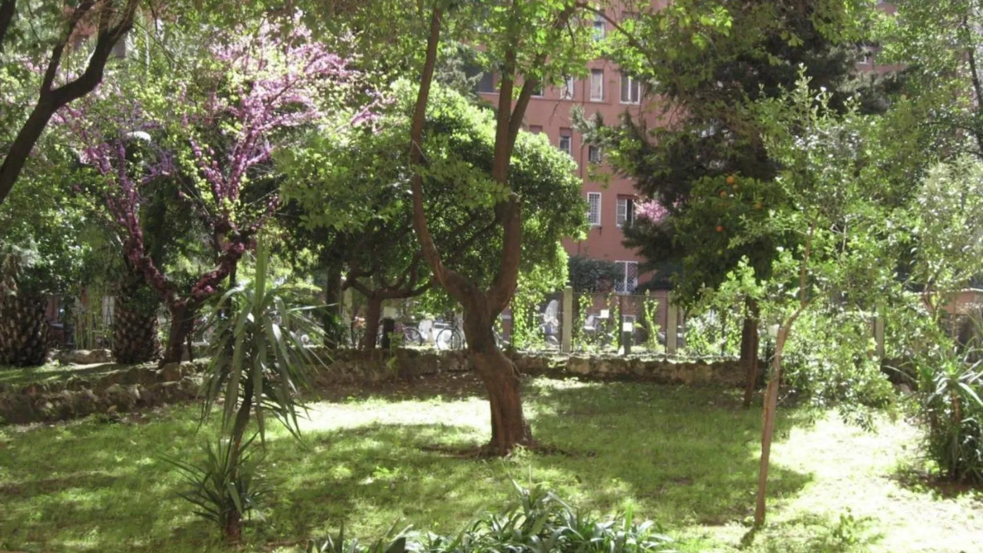 Casa Dino Apartment Rome